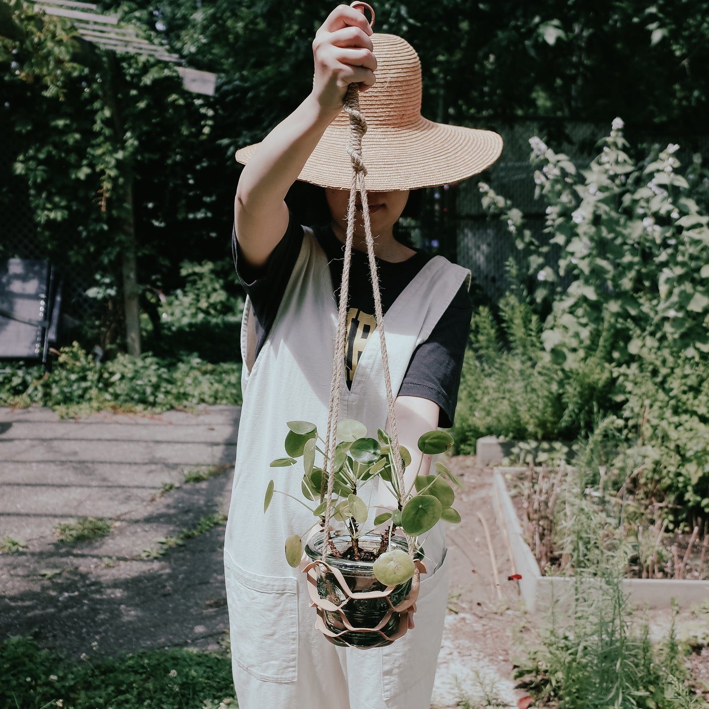 Plant hanger