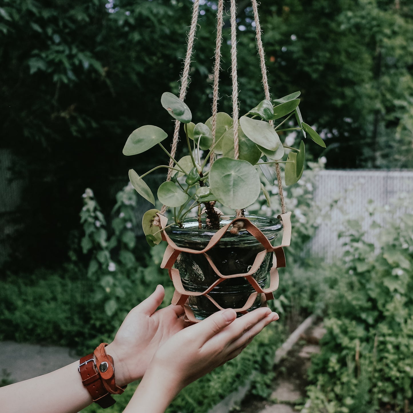 Plant hanger